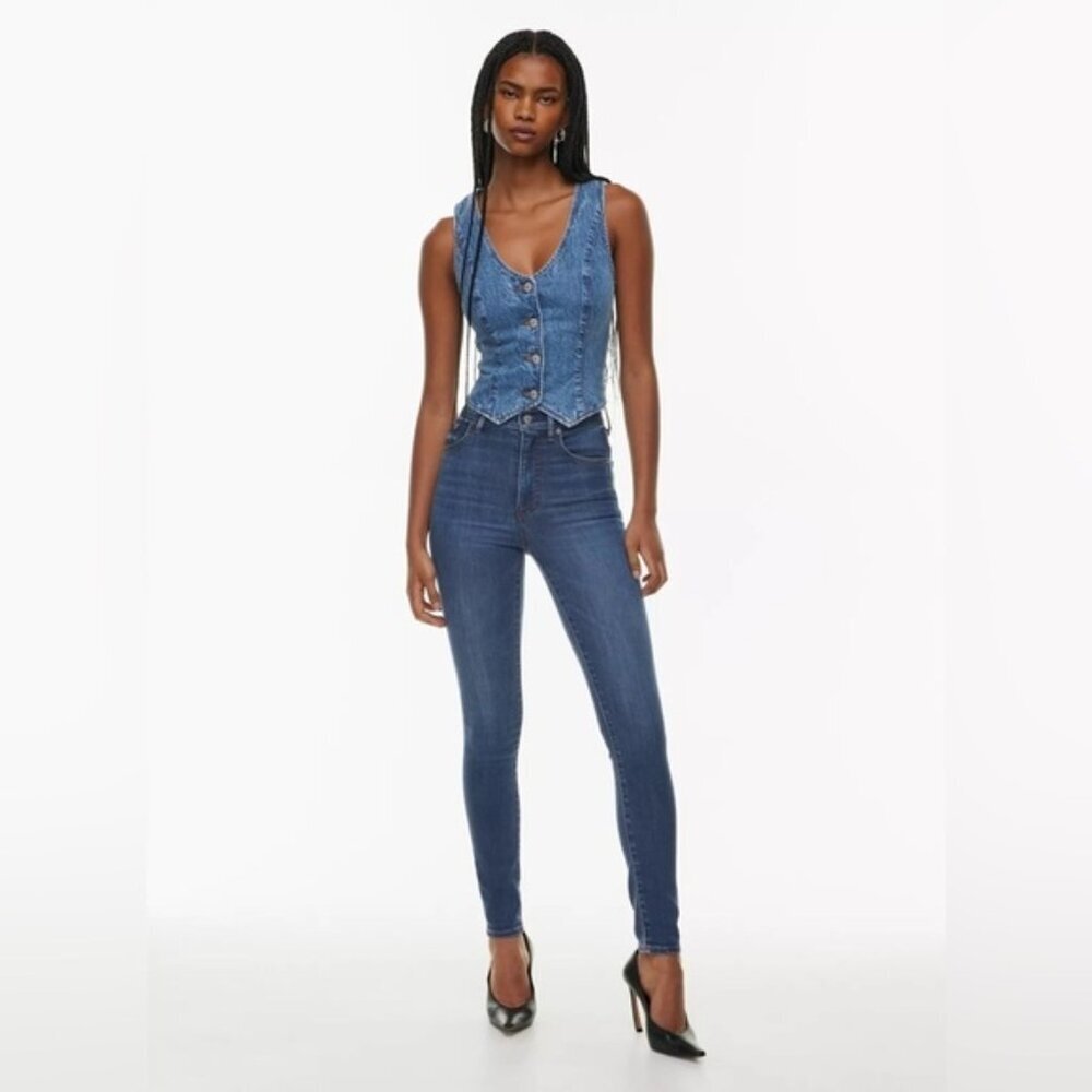✅DENIM FORUM ARITZIA 28 Lola high rise skinny zip fly
